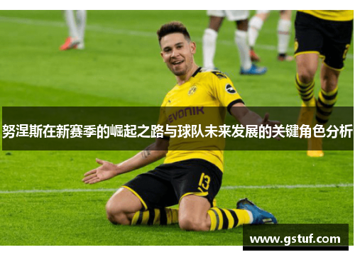 努涅斯在新赛季的崛起之路与球队未来发展的关键角色分析