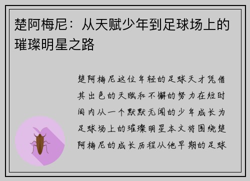 楚阿梅尼：从天赋少年到足球场上的璀璨明星之路