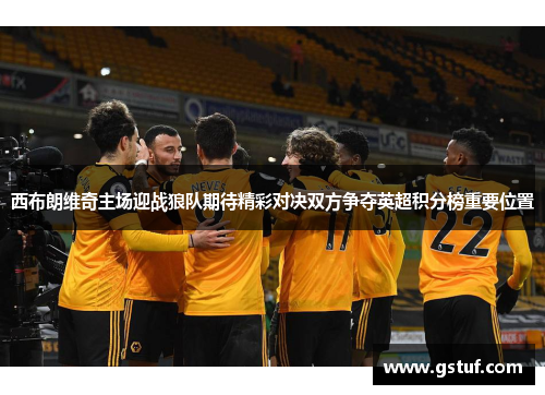 西布朗维奇主场迎战狼队期待精彩对决双方争夺英超积分榜重要位置