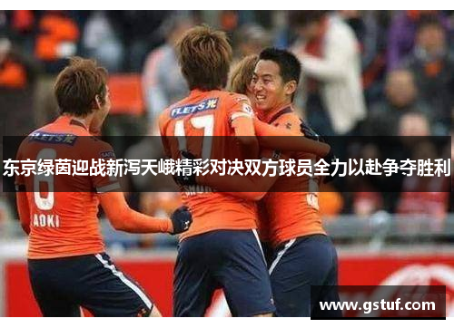 东京绿茵迎战新泻天峨精彩对决双方球员全力以赴争夺胜利