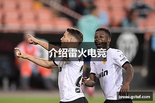 介绍雷火电竞